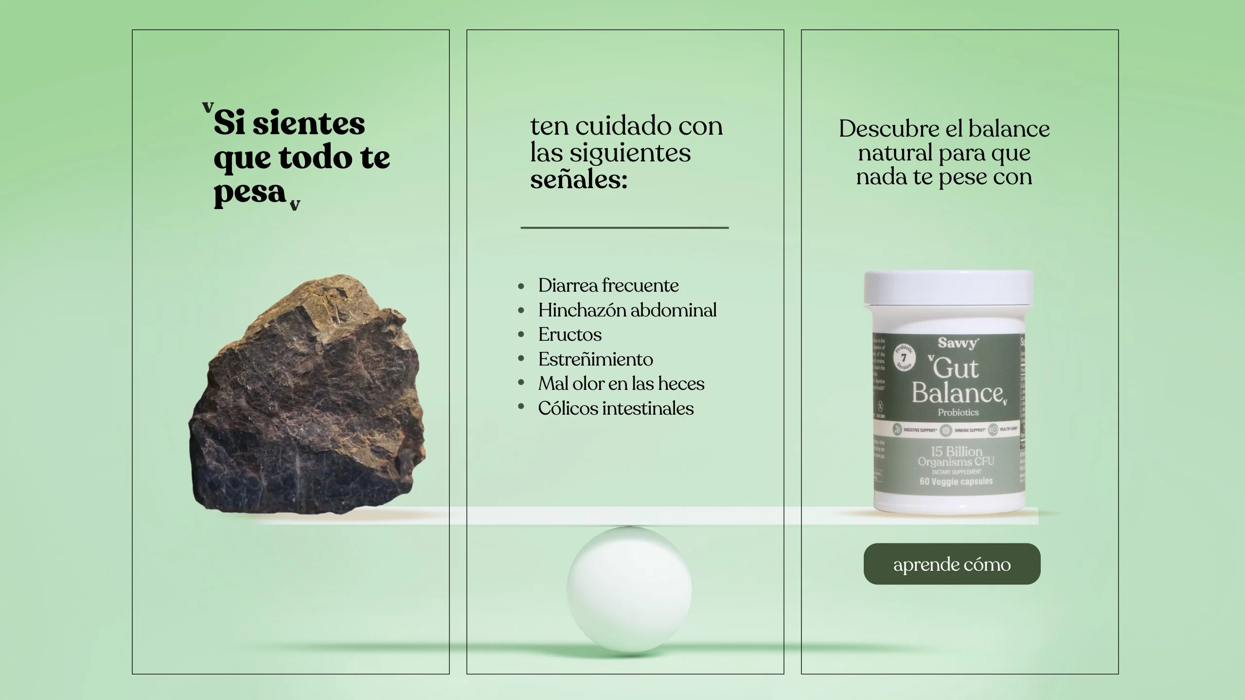 Pieza digital con una roca y las señales de alerta de la salud digestiva