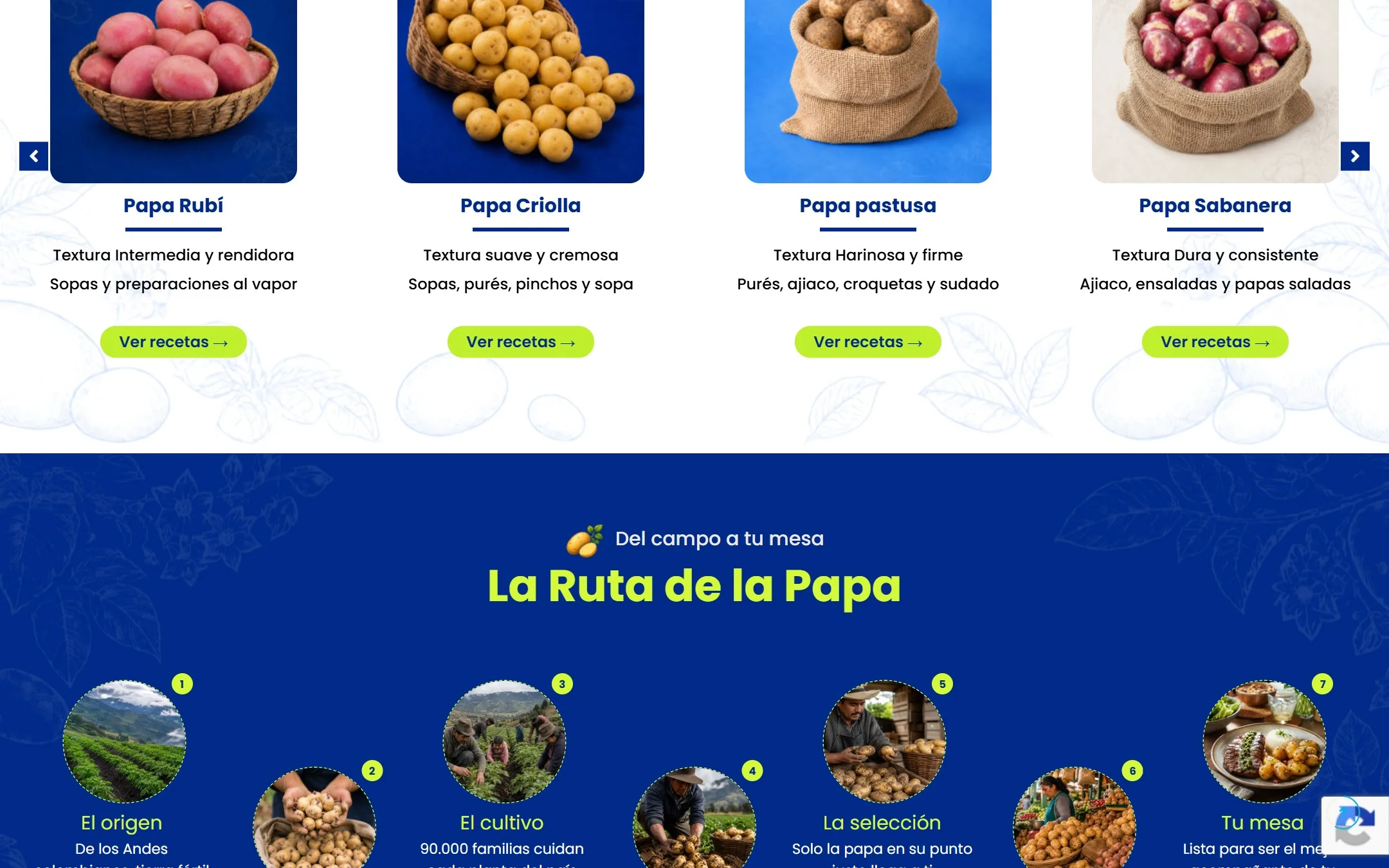 La Ruta de la Papa del origen a la mesa en el inicio del sitio