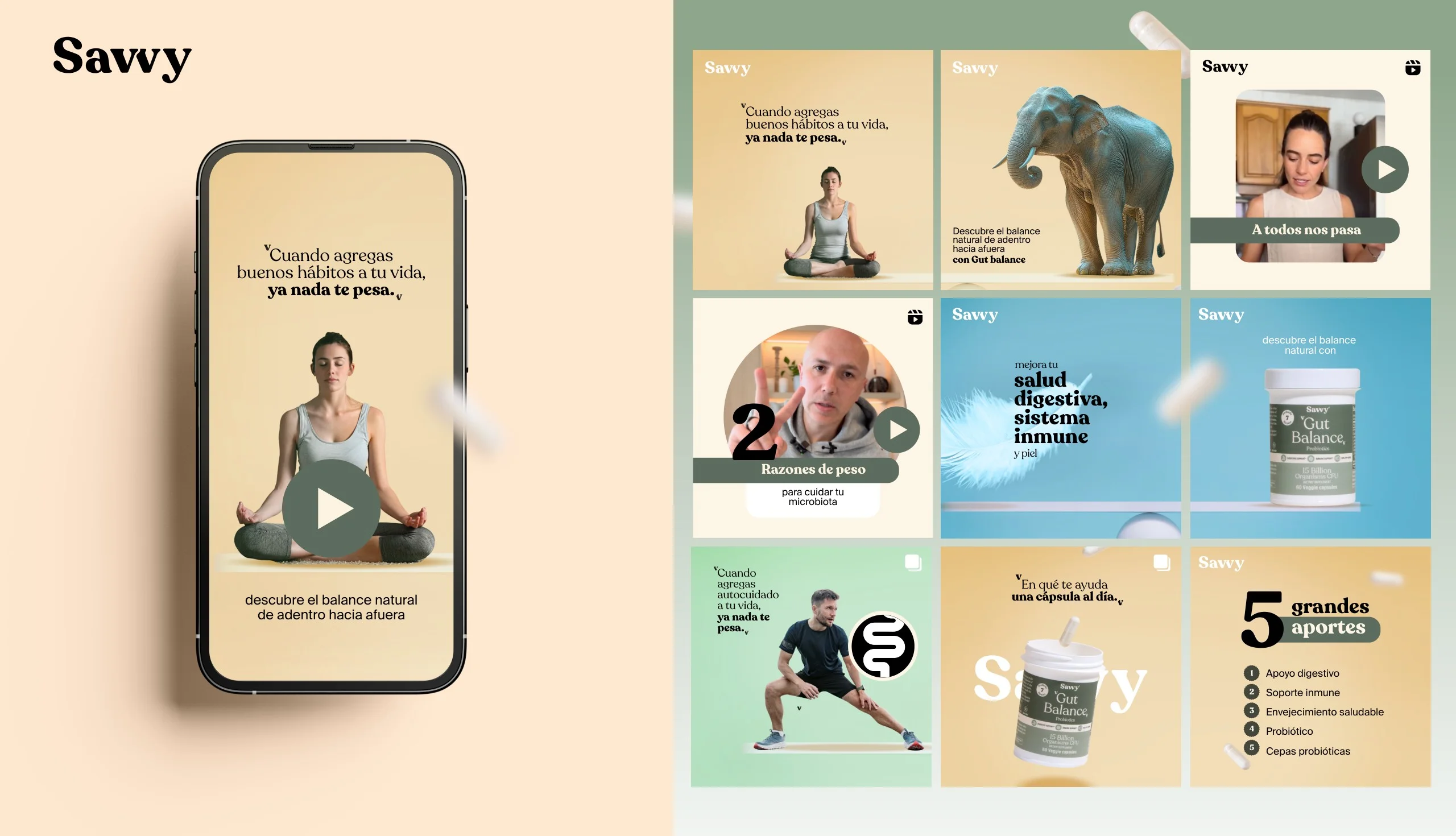 Moodboard digital de Gut Balance con un celular y la cuadrícula de publicaciones de Savvy