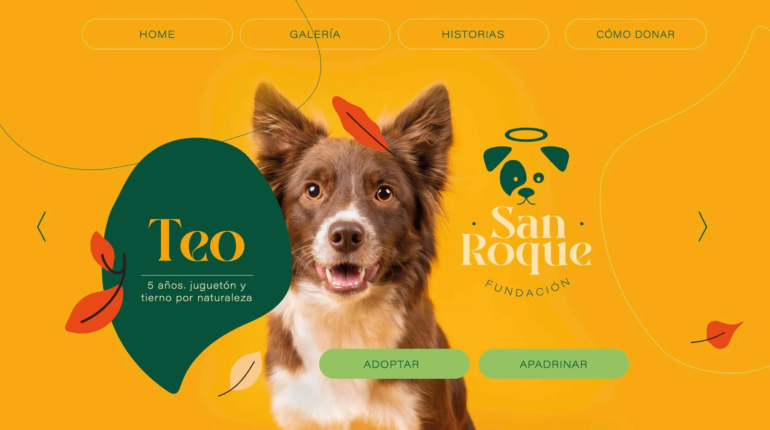Página web con Teo, un perro de 5 años, y los botones Adoptar y Apadrinar